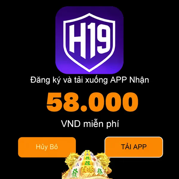 H19 Slot Chống Gãy Cầu Việt Nam